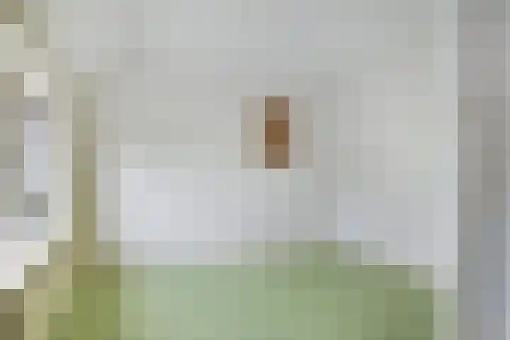 Sikkelstraat 33 Nijmegen thumbnail 6