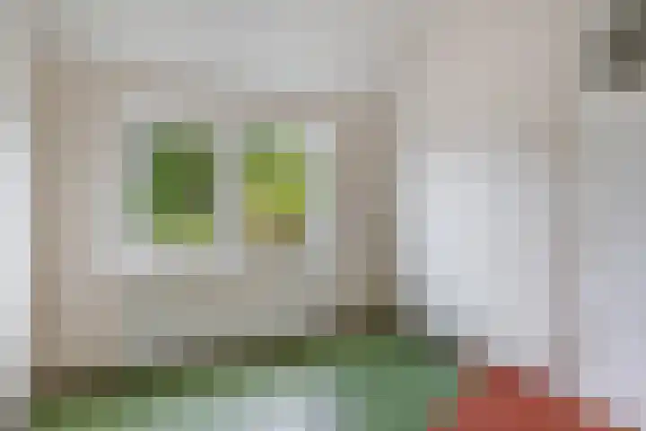 Sikkelstraat 33 Nijmegen thumbnail 8