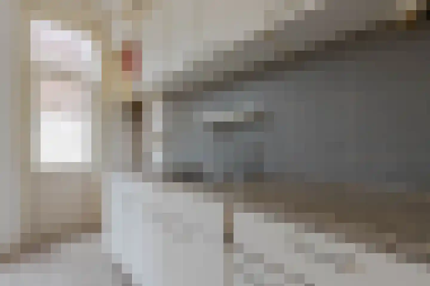 Sikkelstraat 34 B Rotterdam thumbnail 10
