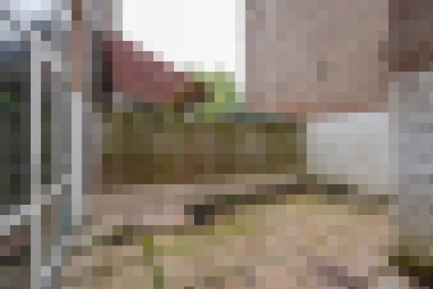 Sikkelstraat 34 B Rotterdam thumbnail 13