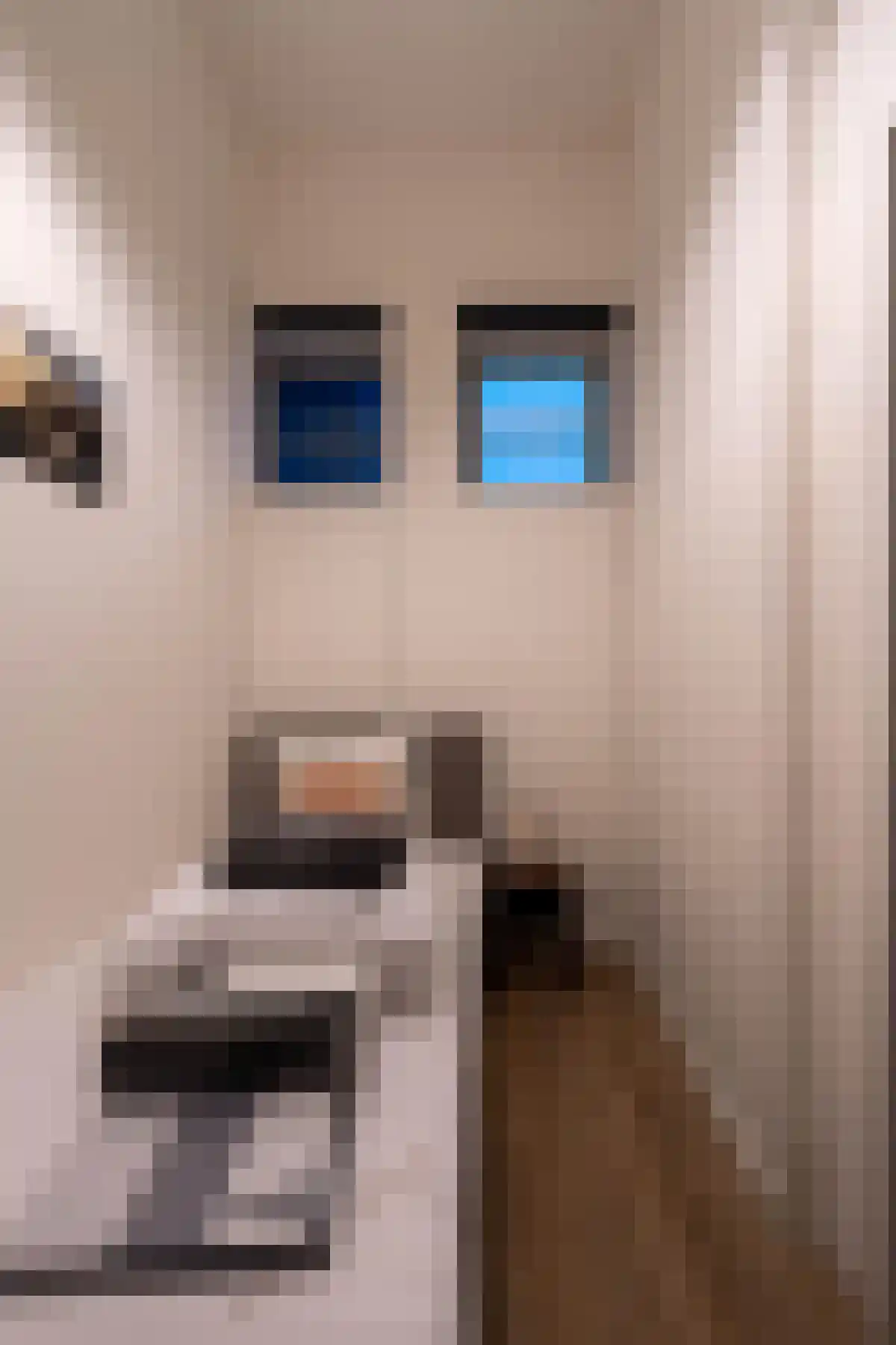 Sikkelstraat 37 Rotterdam thumbnail 6