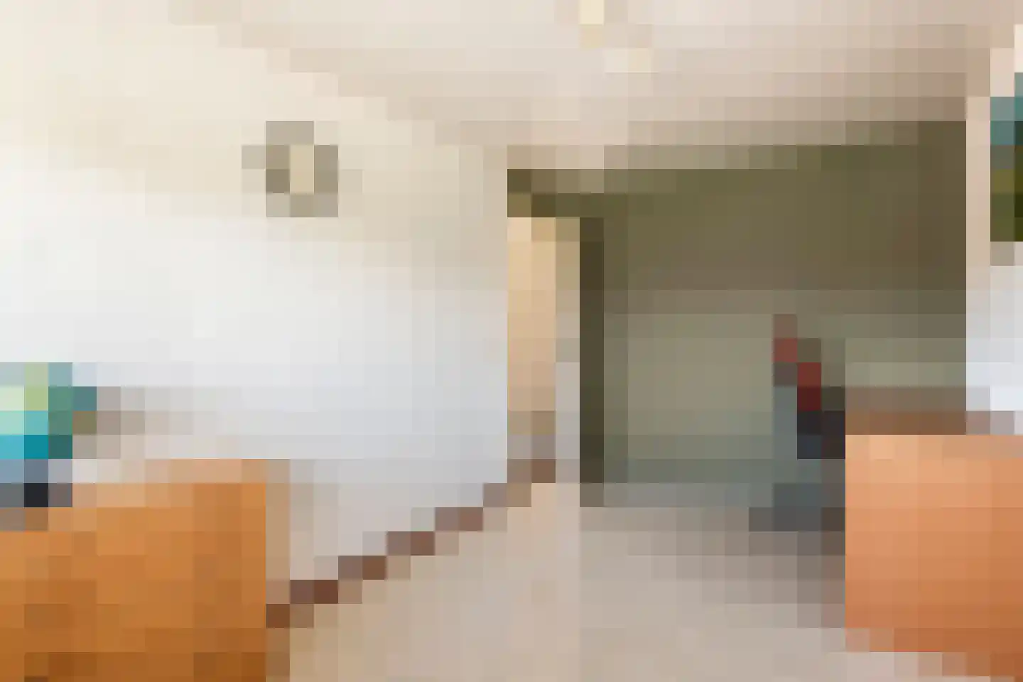 Sikkelstraat 4 Bergharen thumbnail 20