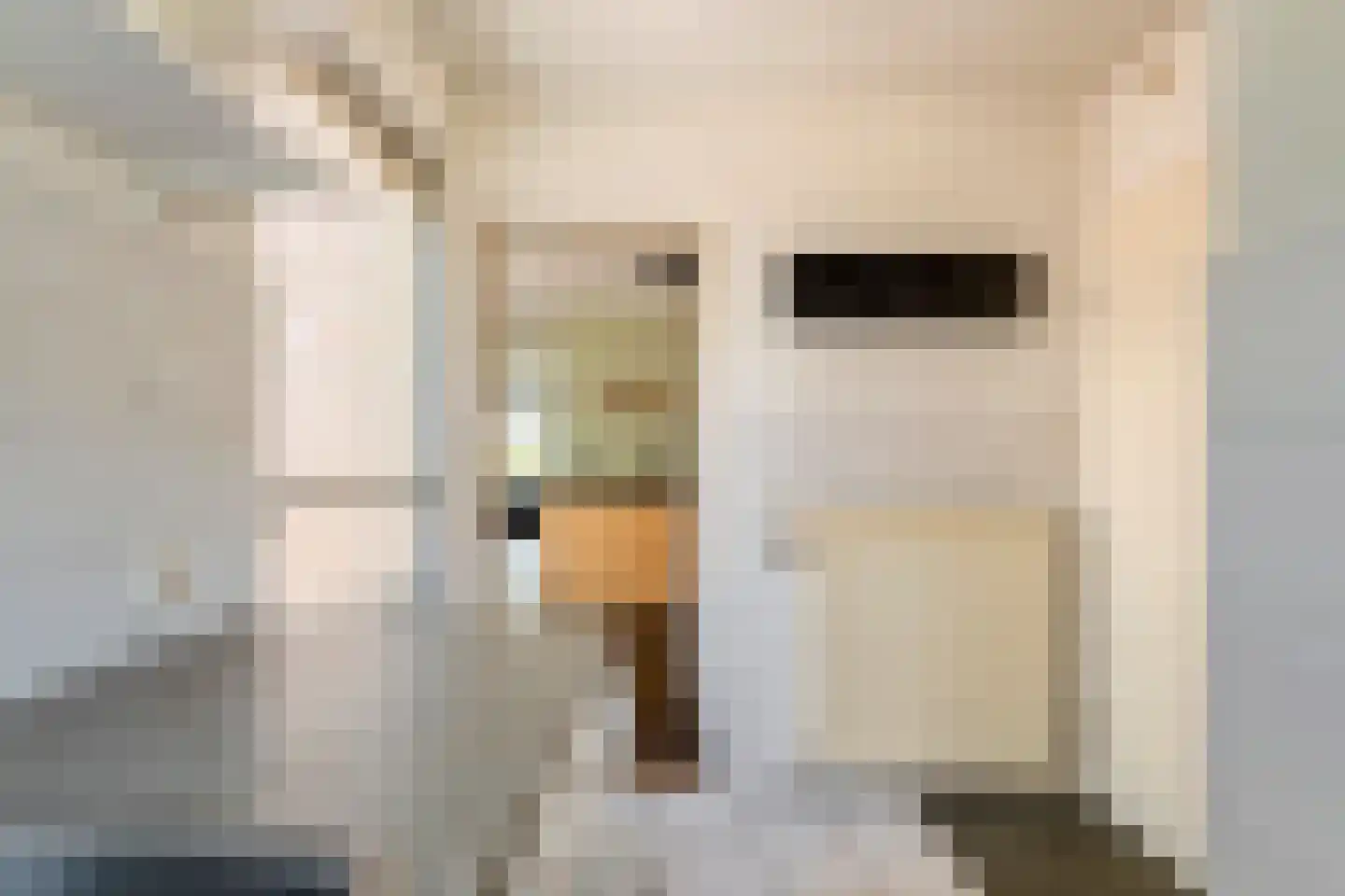 Sikkelstraat 4 Bergharen thumbnail 29