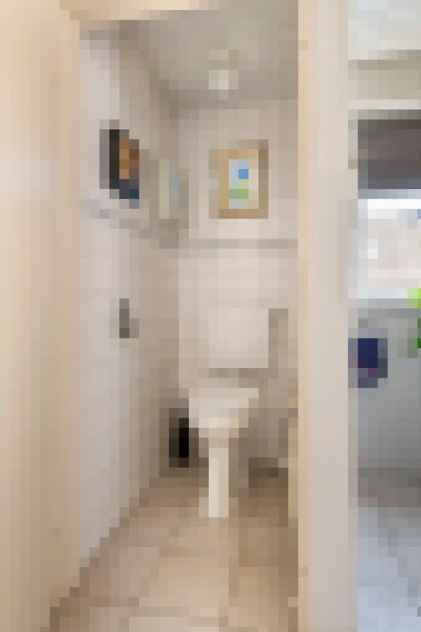 Sikkelstraat 4 Bergharen thumbnail 30