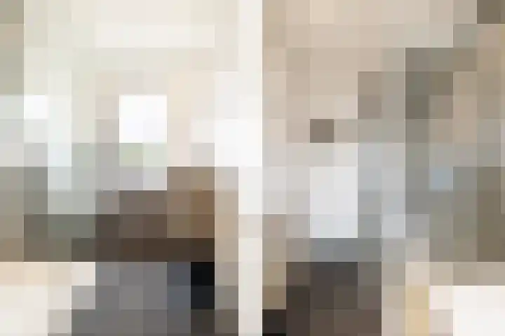 Sikkelstraat 41 Breda thumbnail 31