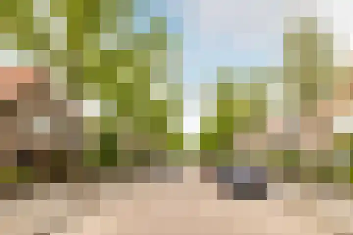 Sikkelstraat 41 Breda thumbnail 40