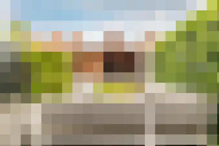 Sikkelstraat 41 Breda thumbnail 5