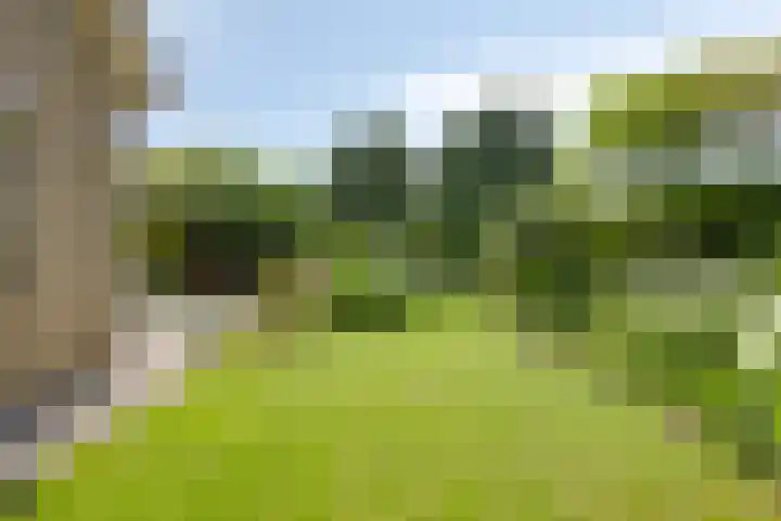 Sikkelstraat 45 Nieuw-Vennep thumbnail 33