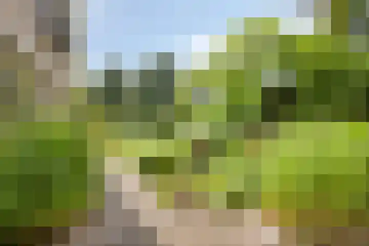Sikkelstraat 45 Nieuw-Vennep thumbnail 34