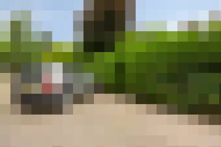 Sikkelstraat 45 Nieuw-Vennep thumbnail 35