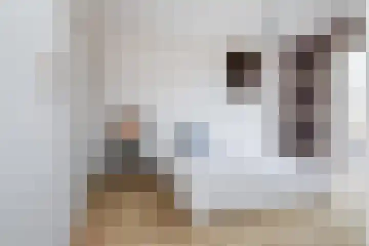 Sikkelstraat 67 Nieuw-Vennep thumbnail 26