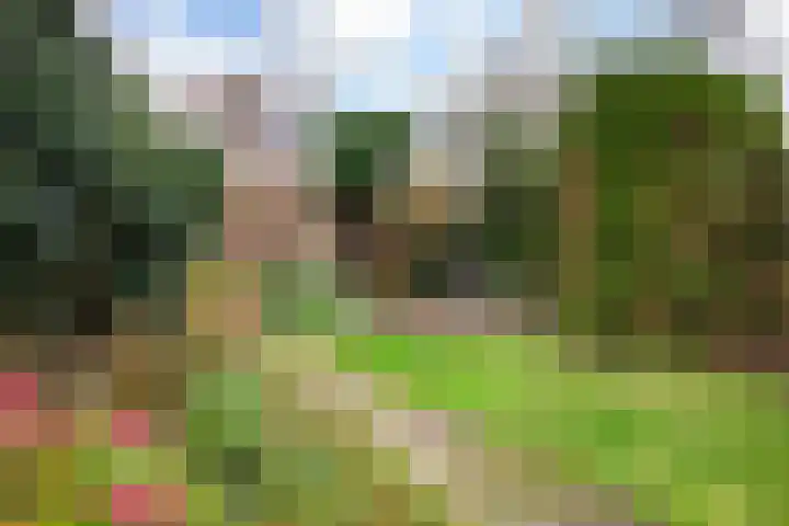 Sikkelstraat 67 Nieuw-Vennep thumbnail 37