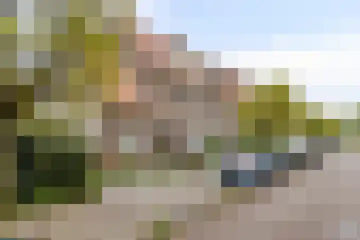 Sikkelstraat 8 A Amsterdam thumbnail 17