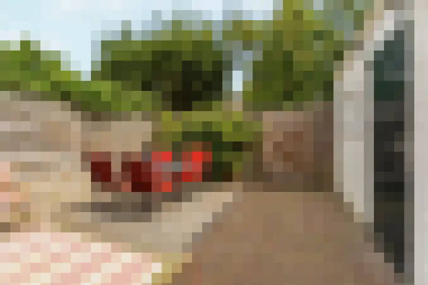 Sikkelstraat 8 Nijmegen thumbnail 5