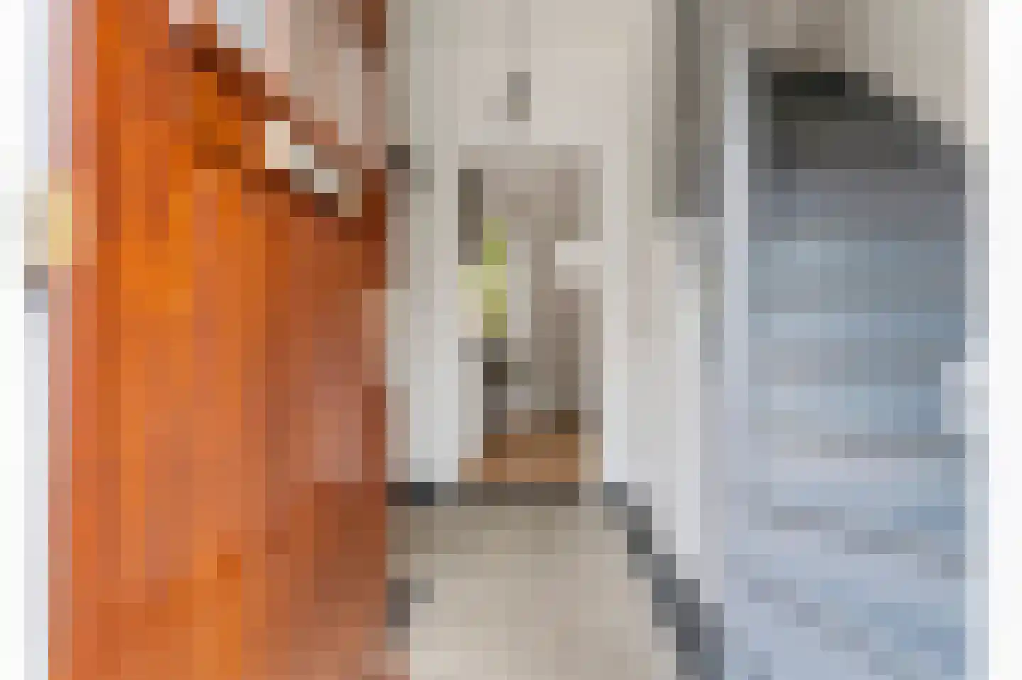 Sikkelstraat 8 Nijmegen thumbnail 6