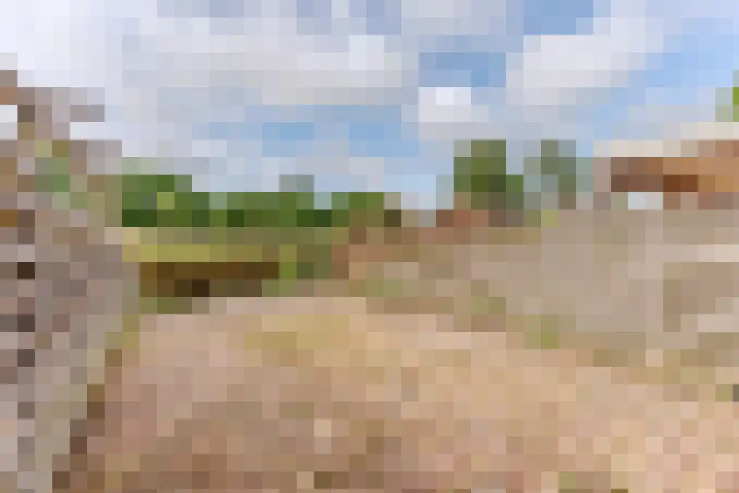 Sikkelstraat 9 Alkmaar thumbnail 22