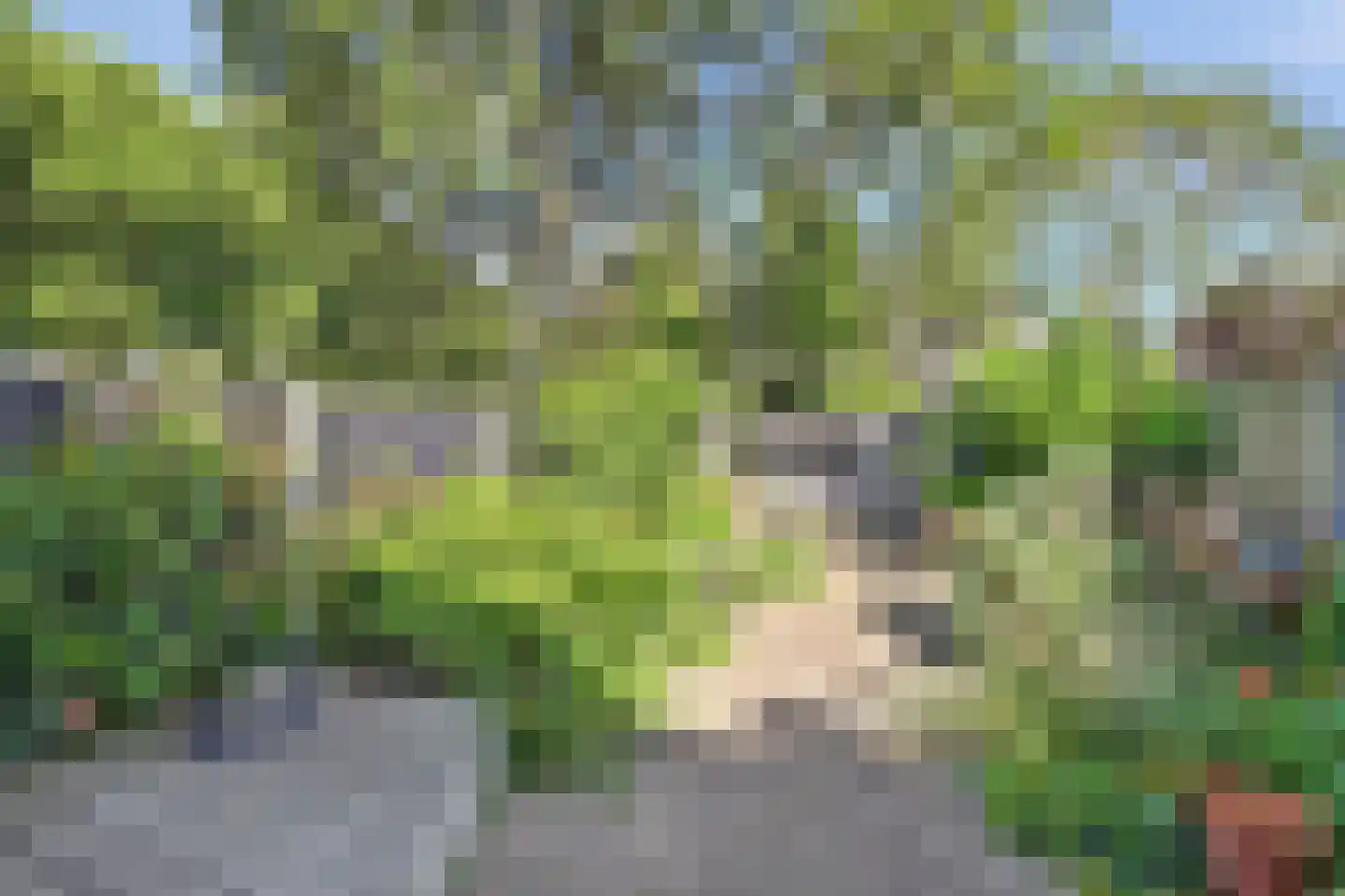 Sikkelvoorde 16 Spijkenisse thumbnail 11