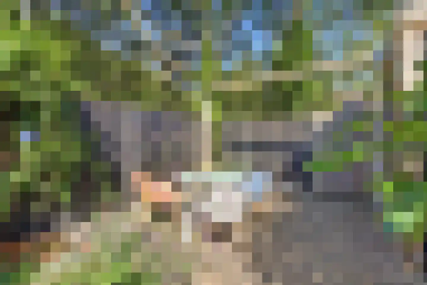 Sikkelvoorde 16 Spijkenisse thumbnail 12