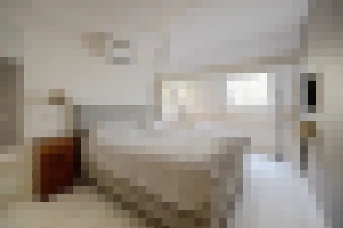 Sikkelvoorde 16 Spijkenisse thumbnail 18