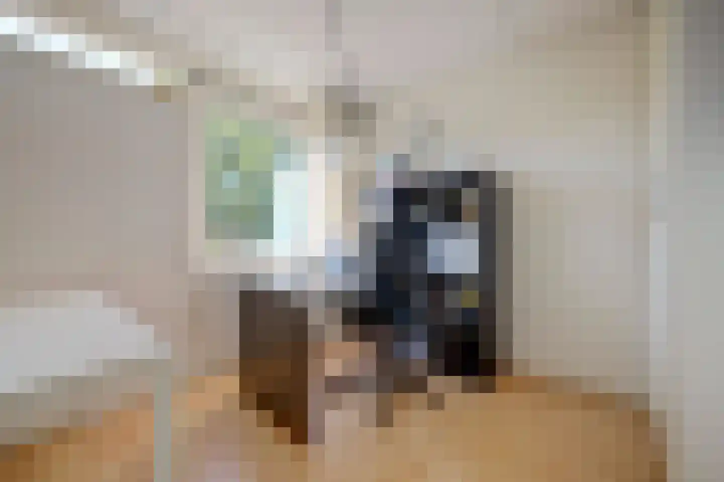 Sikkelvoorde 16 Spijkenisse thumbnail 23