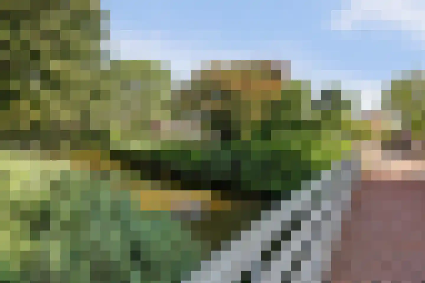 Sikkelvoorde 16 Spijkenisse thumbnail 35