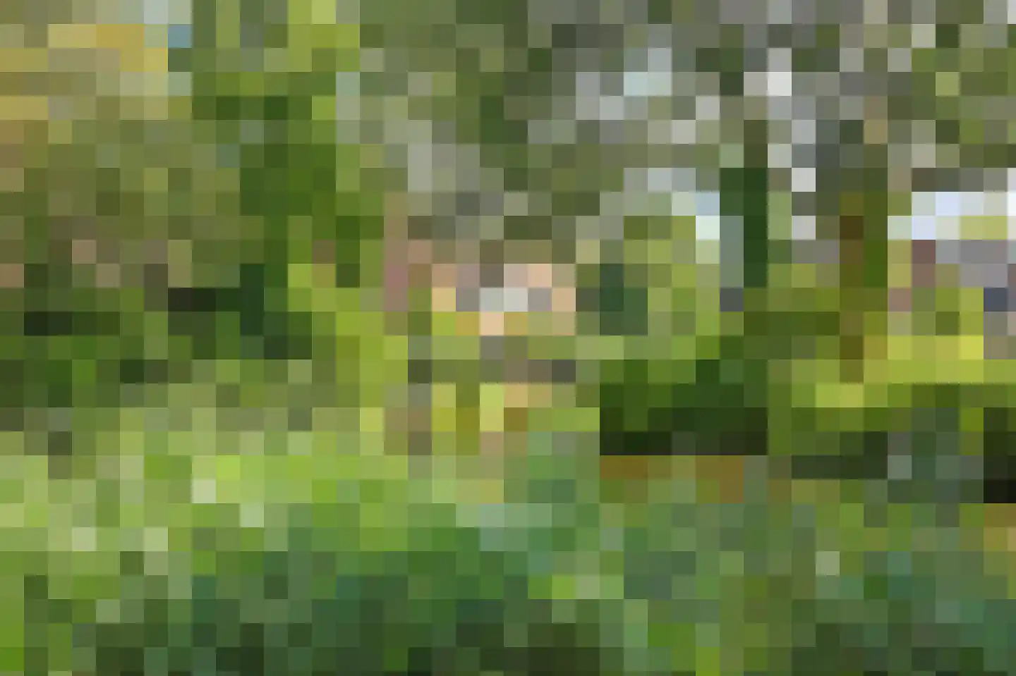Sikkelvoorde 16 Spijkenisse thumbnail 36