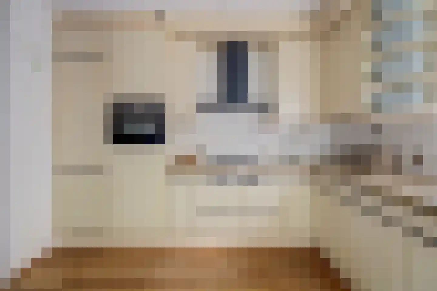Sikkelvoorde 16 Spijkenisse thumbnail 8
