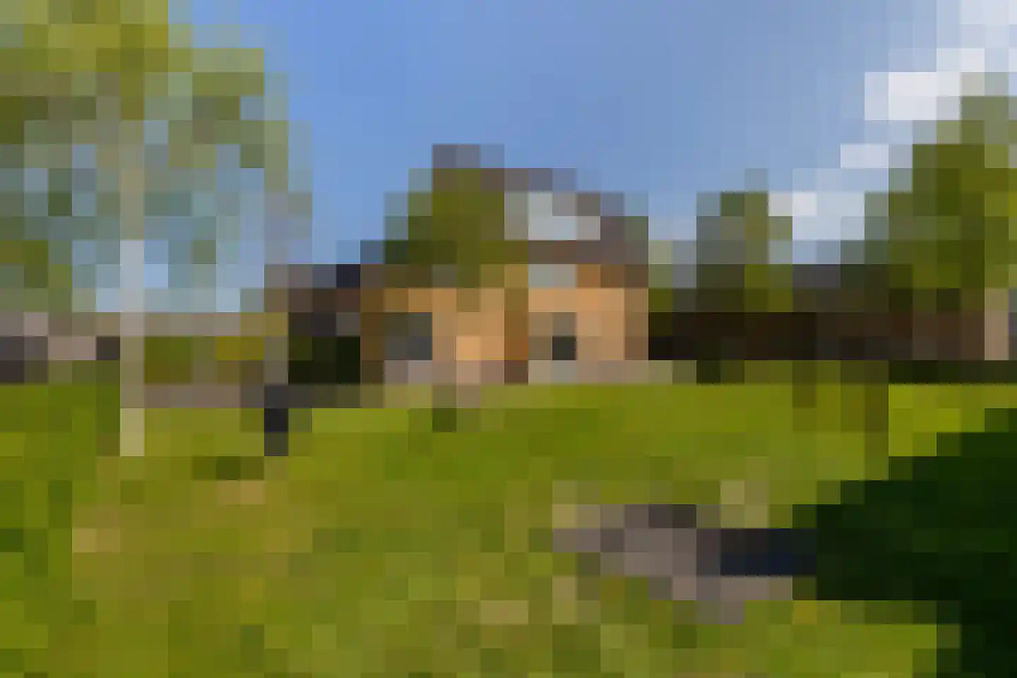 Sikkelwei 20 Barendrecht thumbnail 32