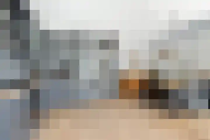 Sikkelwei 40 Barendrecht thumbnail 17