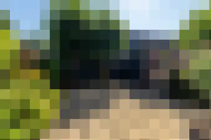 Sikkelwei 40 Barendrecht thumbnail 26