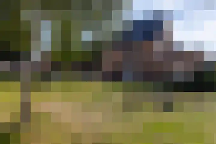 Sikkelwei 40 Barendrecht thumbnail 31