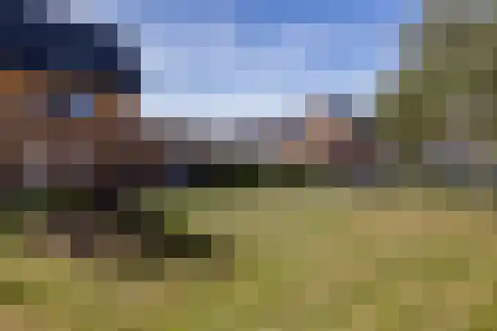 Sikkelwei 40 Barendrecht thumbnail 32