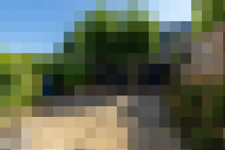 Sikkelwei 40 Barendrecht thumbnail 5