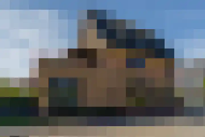 Sikkelwei 40 Barendrecht thumbnail 7