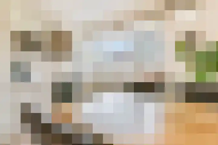 Sikkemapad 3 Amersfoort thumbnail 15