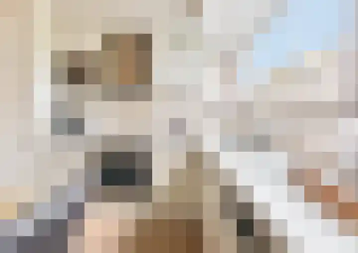 Sikkemapad 3 Amersfoort thumbnail 16