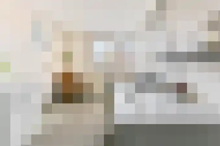 Sikkemapad 3 Amersfoort thumbnail 29