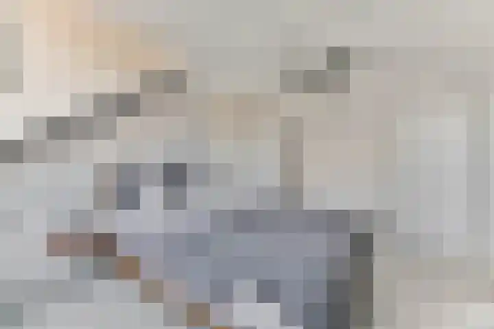 Sikkemapad 3 Amersfoort thumbnail 33