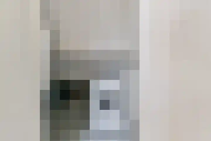 Sikkemapad 3 Amersfoort thumbnail 34