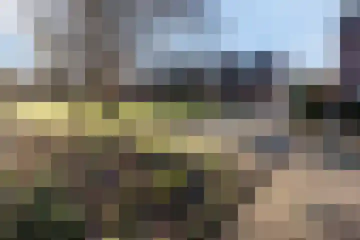 Sikkemapad 3 Amersfoort thumbnail 38