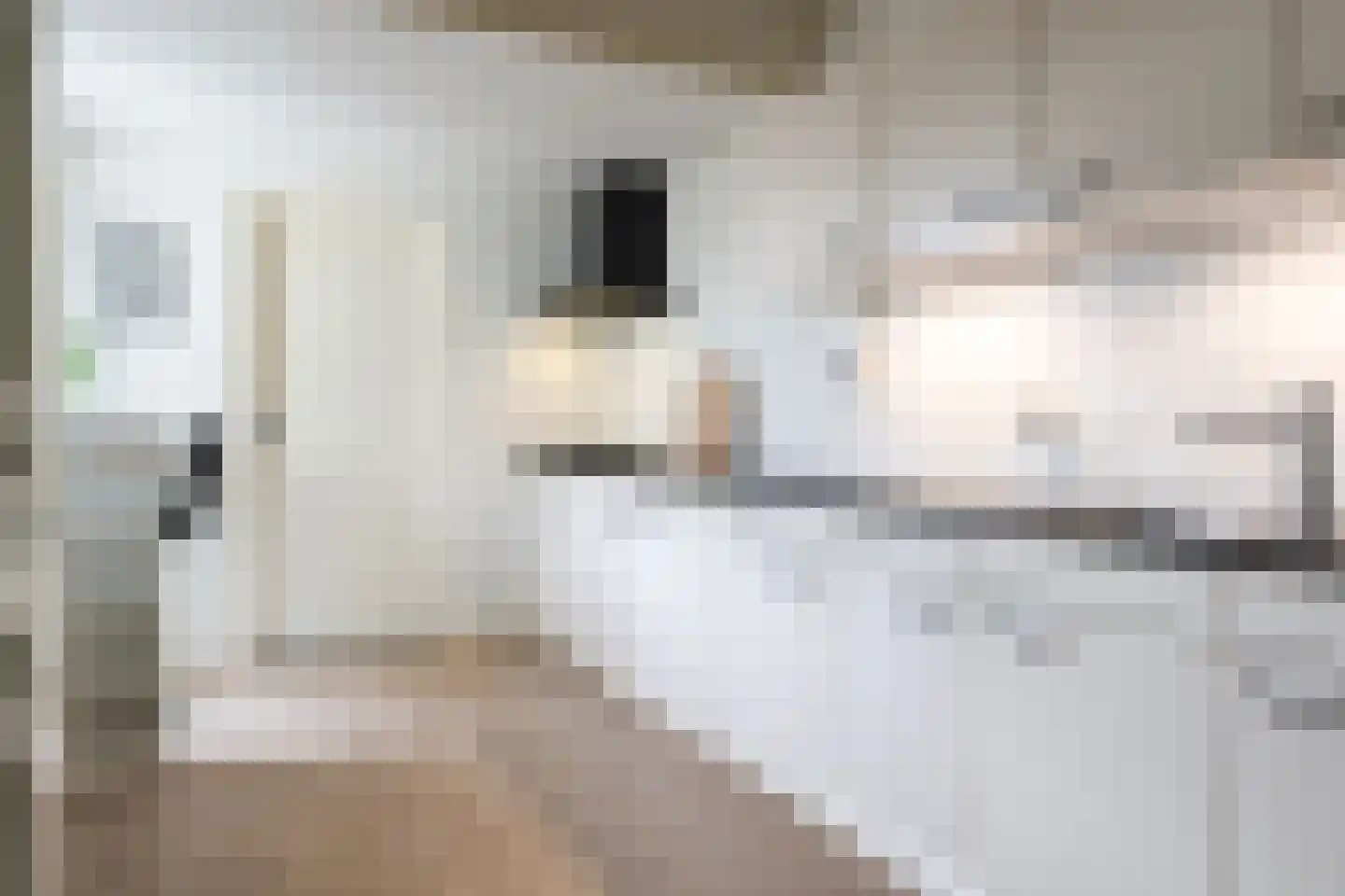 Sikko Sjaerdemalaan 26 IJlst thumbnail 17