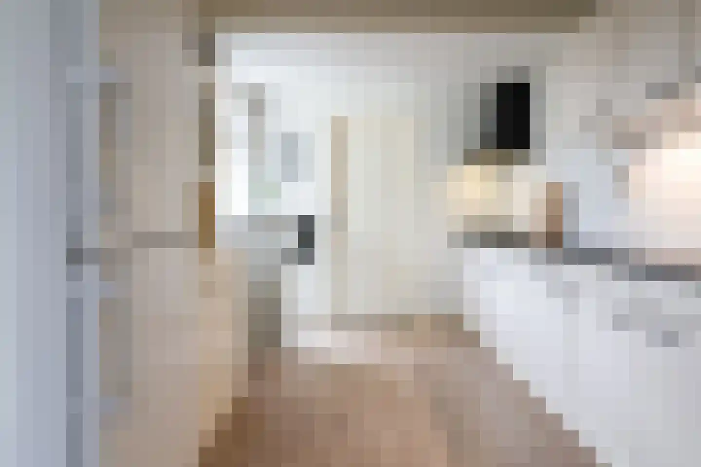 Sikko Sjaerdemalaan 26 IJlst thumbnail 18