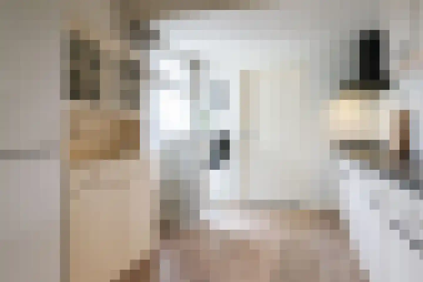 Sikko Sjaerdemalaan 26 IJlst thumbnail 19