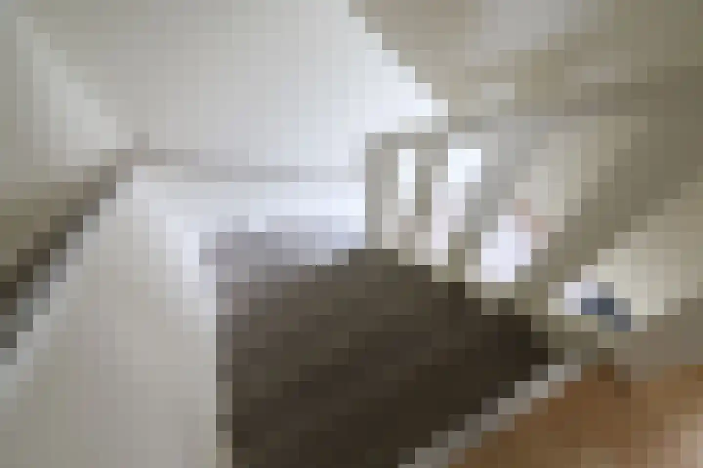 Sikko Sjaerdemalaan 26 IJlst thumbnail 24