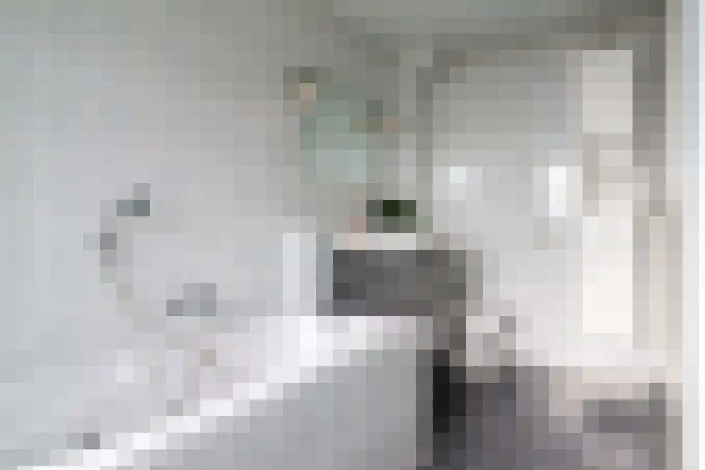 Sikko Sjaerdemalaan 26 IJlst thumbnail 35
