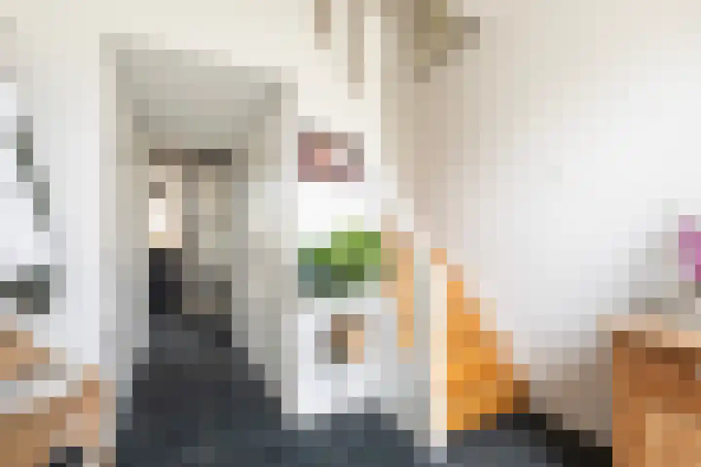 Sikko Sjaerdemalaan 28 IJlst thumbnail 10