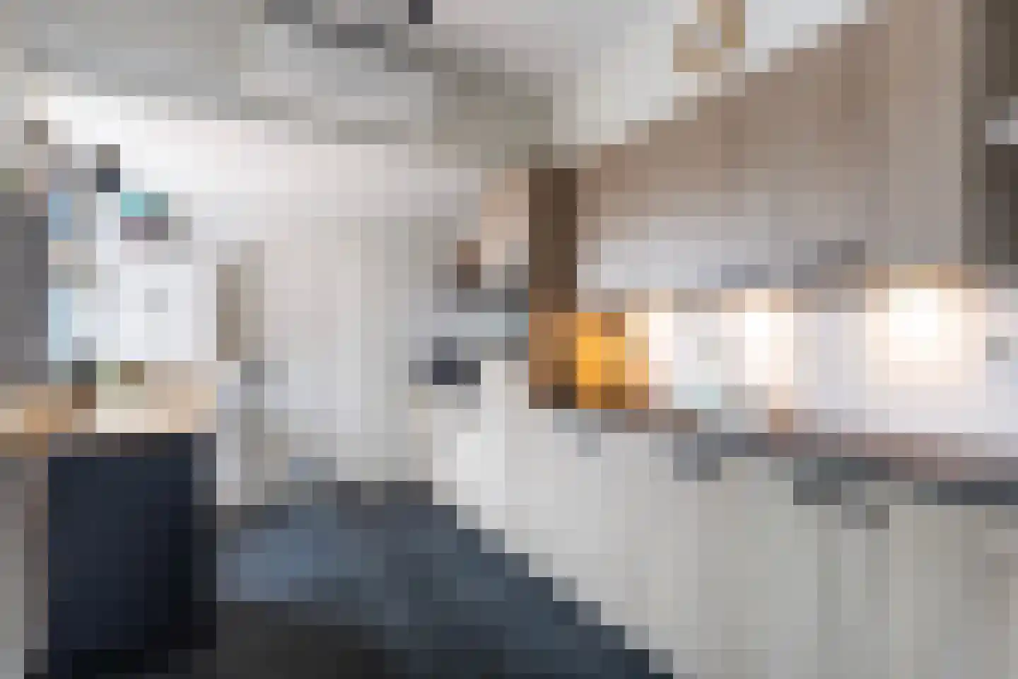 Sikko Sjaerdemalaan 28 IJlst thumbnail 13