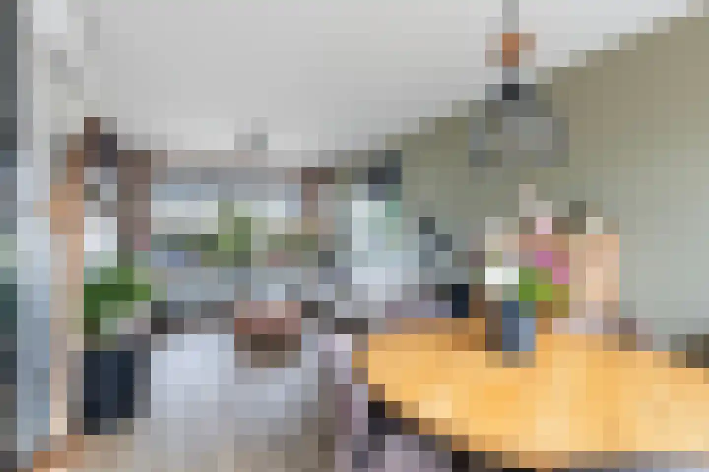 Sikko Sjaerdemalaan 28 IJlst thumbnail 18