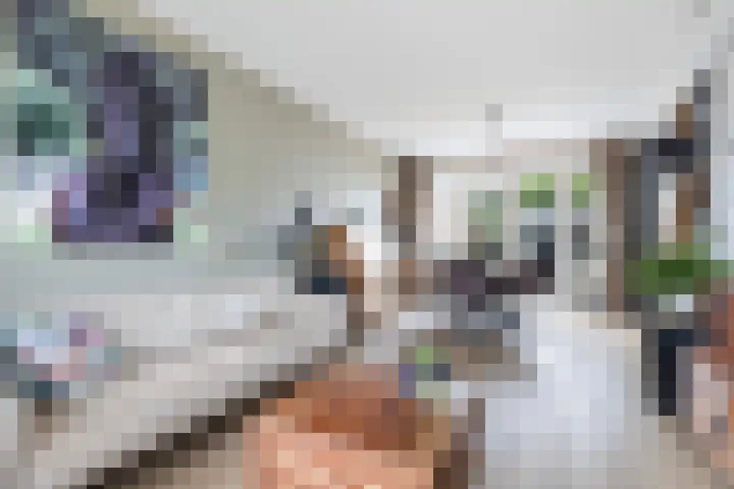 Sikko Sjaerdemalaan 28 IJlst thumbnail 22