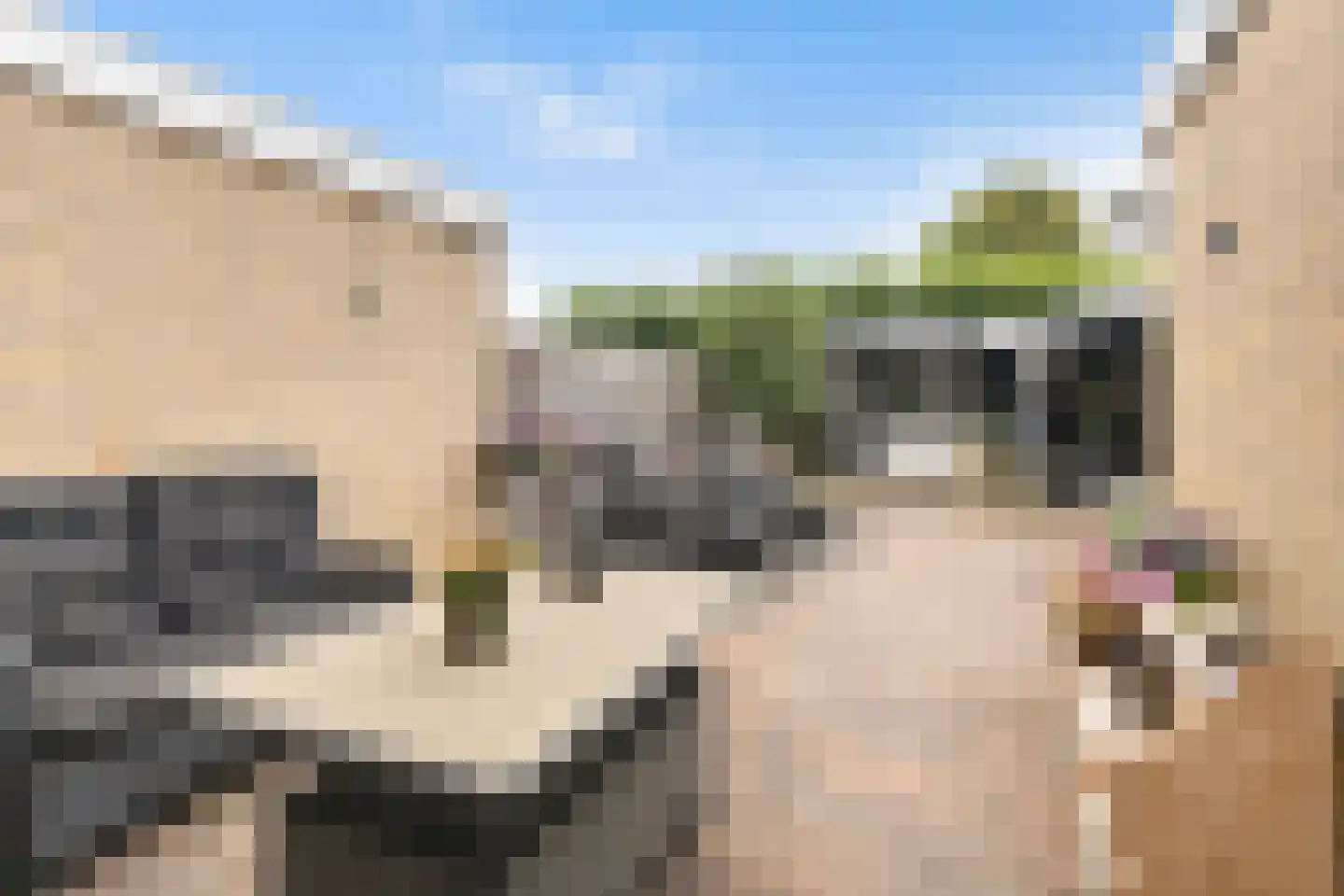 Sikko Sjaerdemalaan 28 IJlst thumbnail 40
